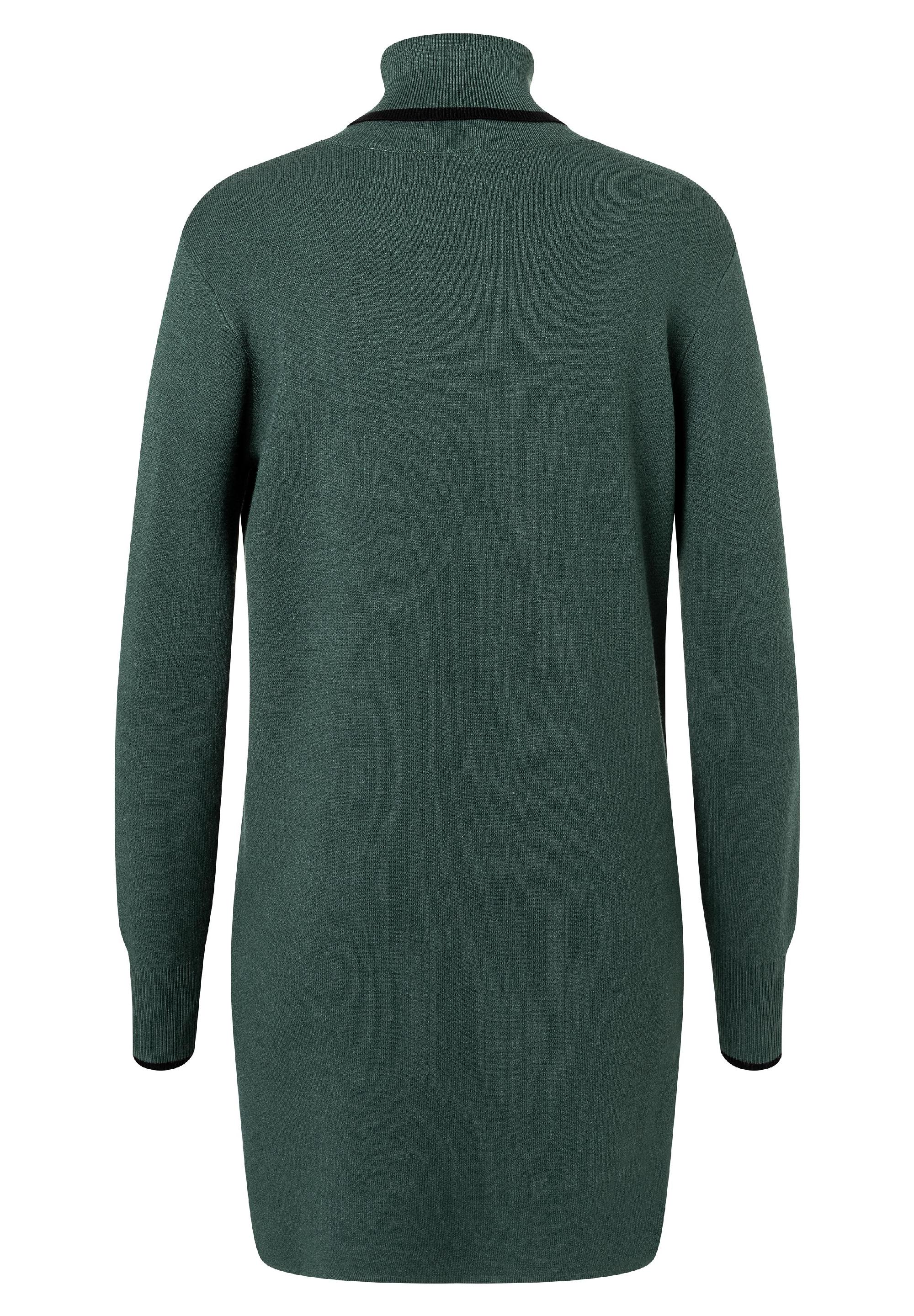 Turtleneck Knit Dress
