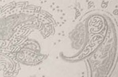 vanilla paisley