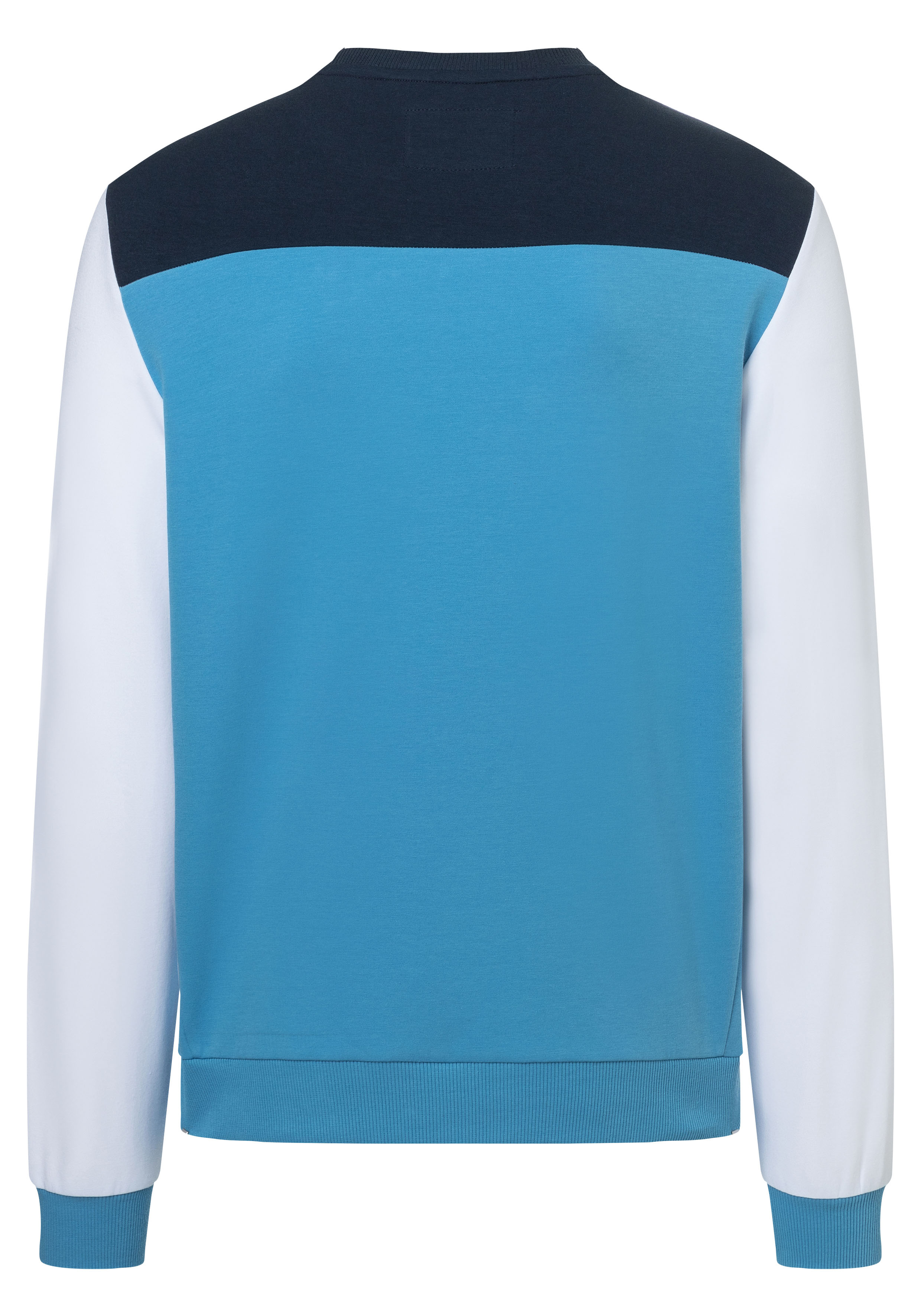 Color Block Crewneck Sweatshirt