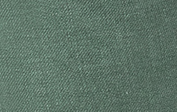 perfect olive green