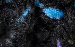 black space dye