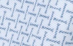 white blue check