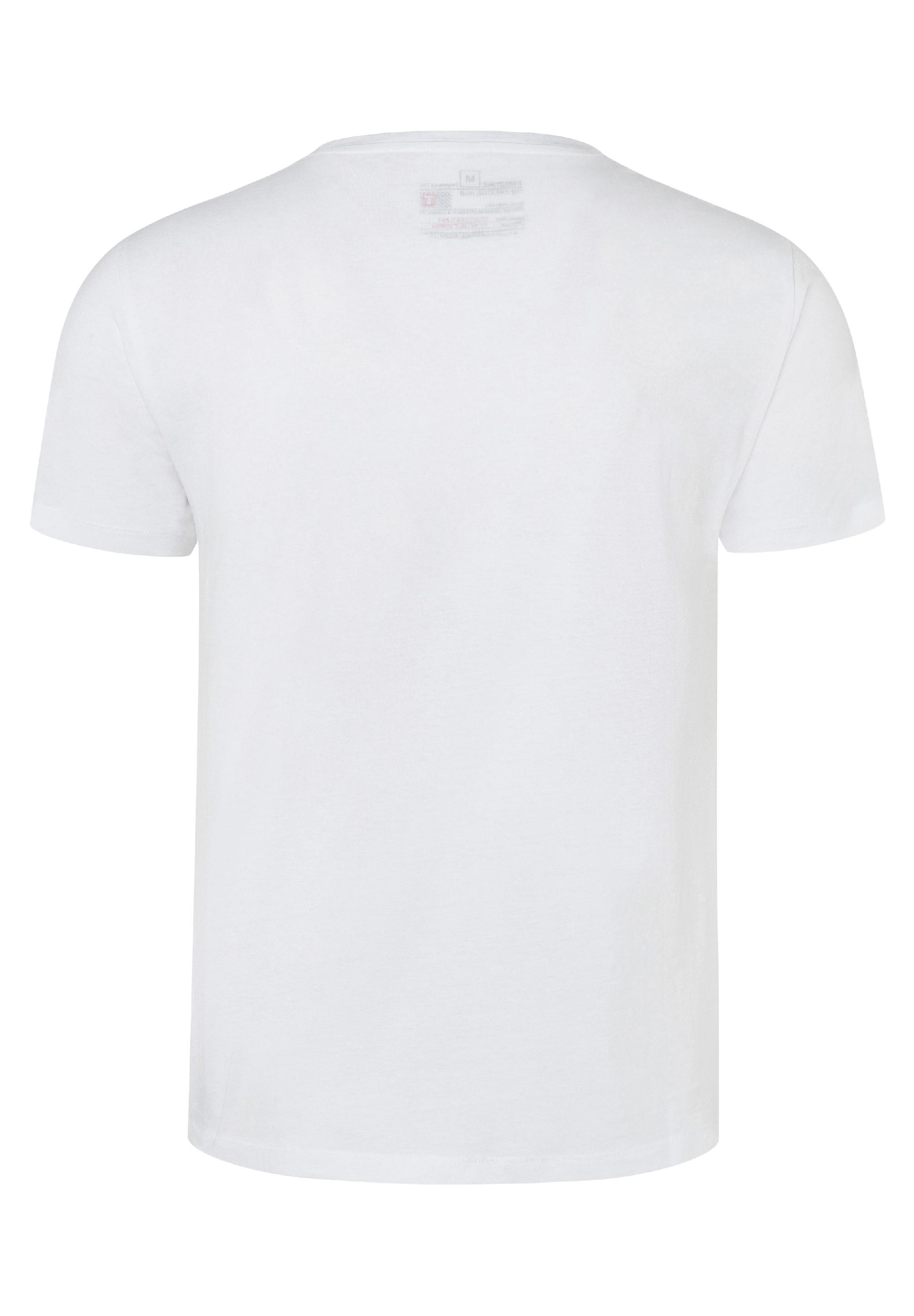 Alpine Ticket T-Shirt print