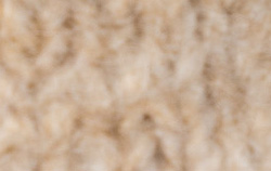 Green-Beige Multi Stripe