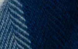 light blue beige check