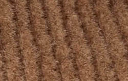 peanut brown