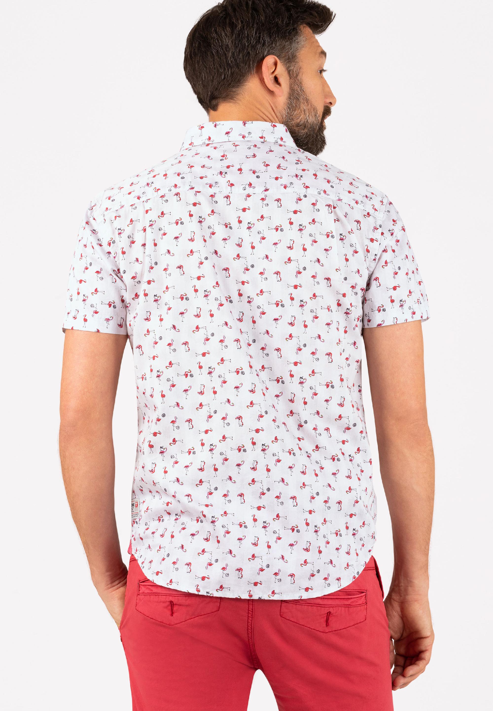 Printed Basic Shortsleeve Shirt print