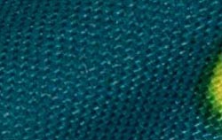 green stingray