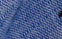 blue palm print