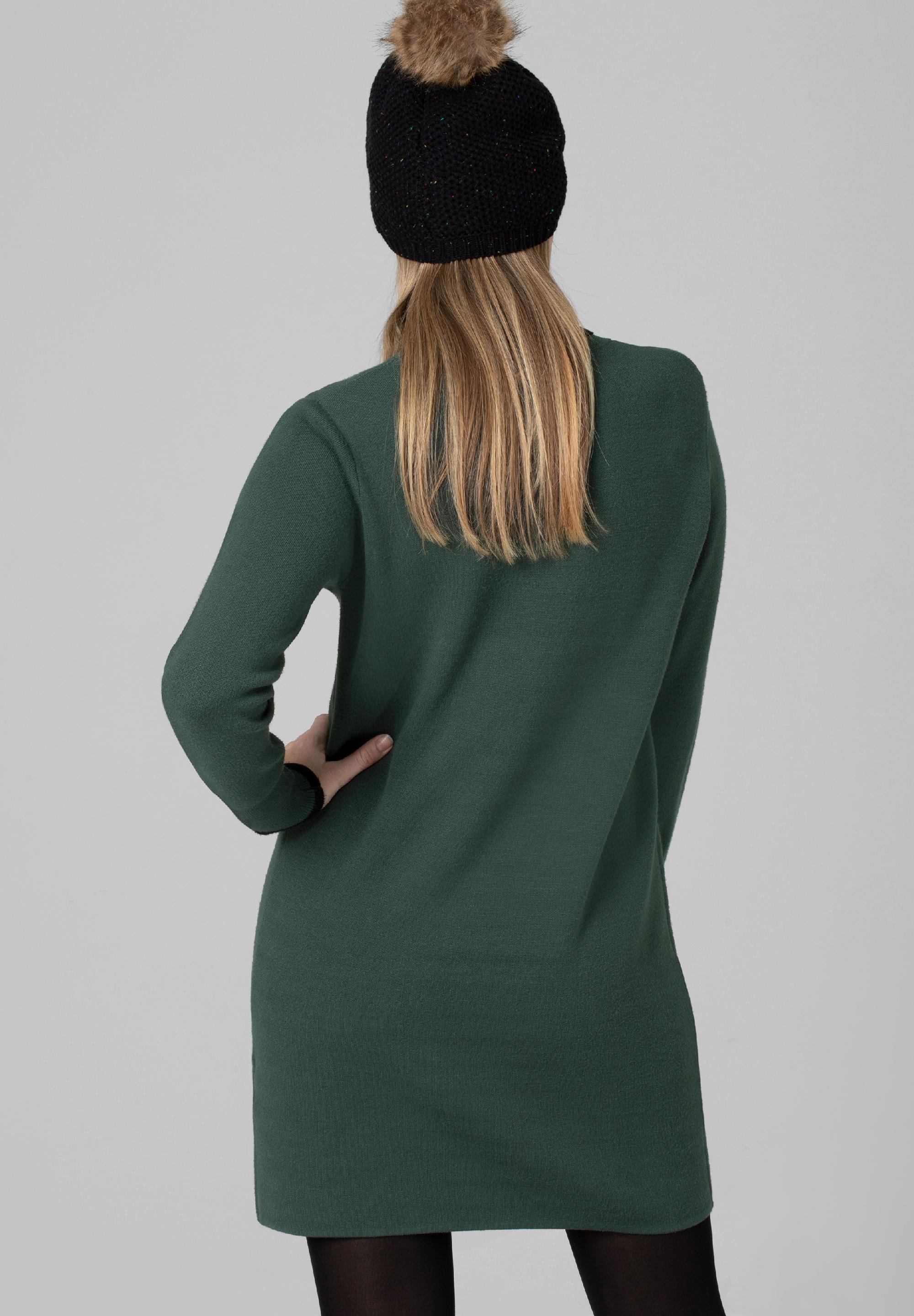 Turtleneck Knit Dress