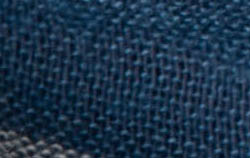 multi blue checks
