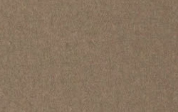 fossil brown