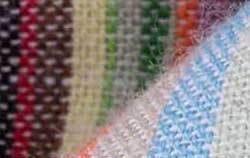 bright multi color stripe