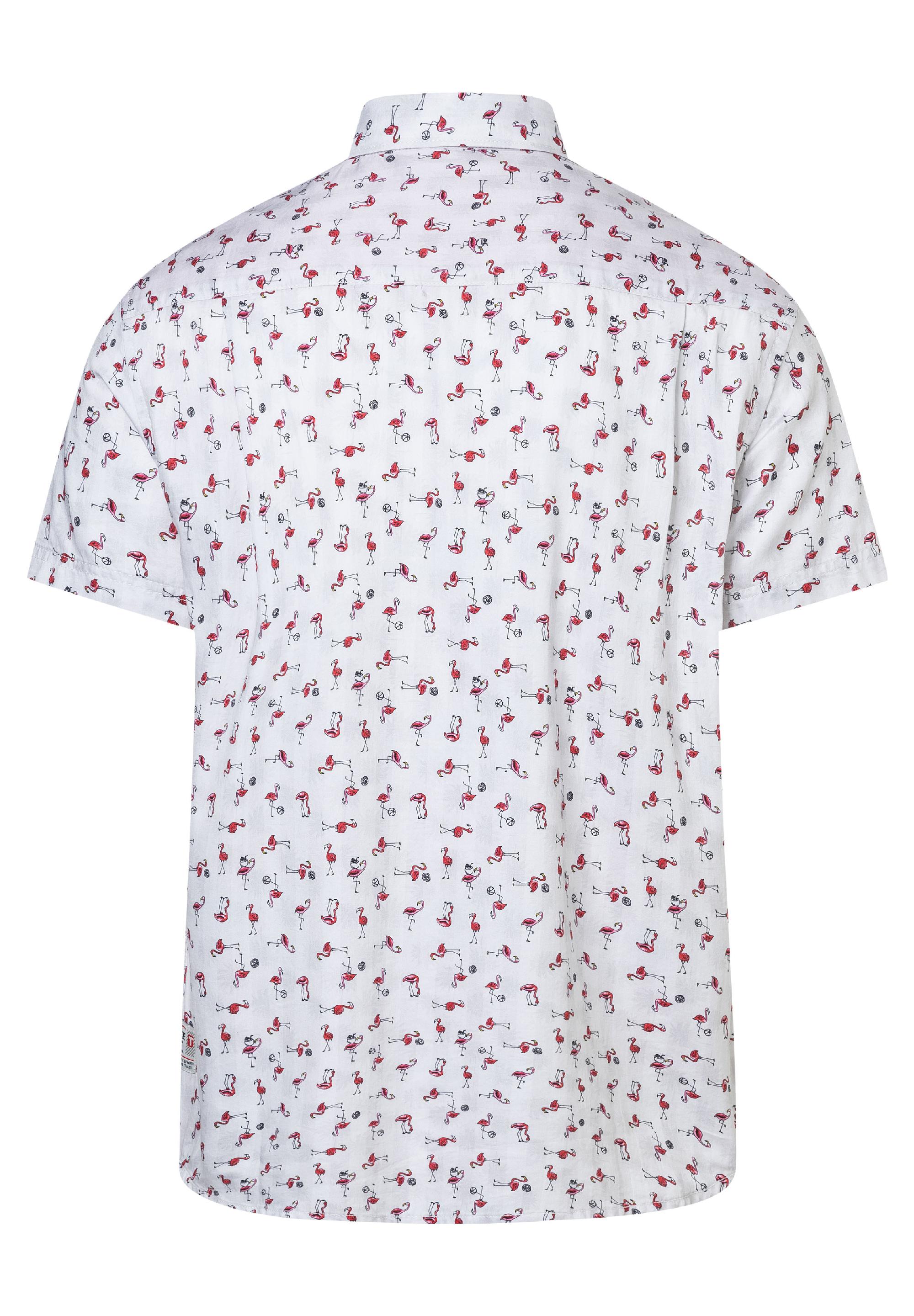 Printed Basic Shortsleeve Shirt print