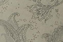 olive paisley