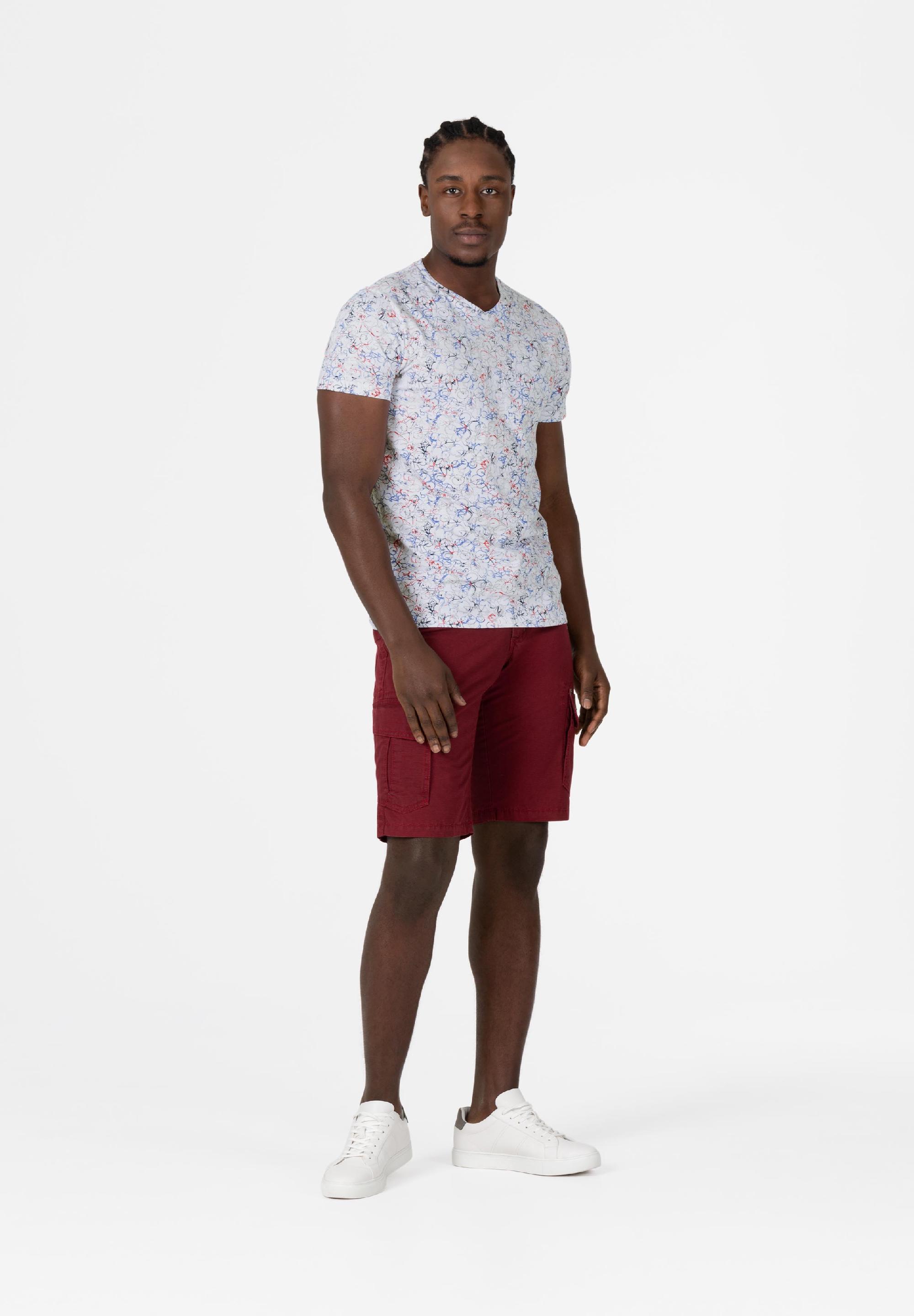 Printed V T-Shirt print