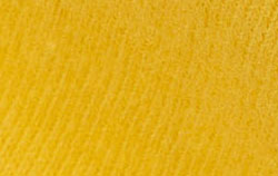 mimosa yellow