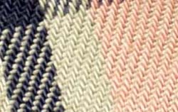 Blue Multicolor Checks