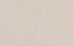 concrete beige