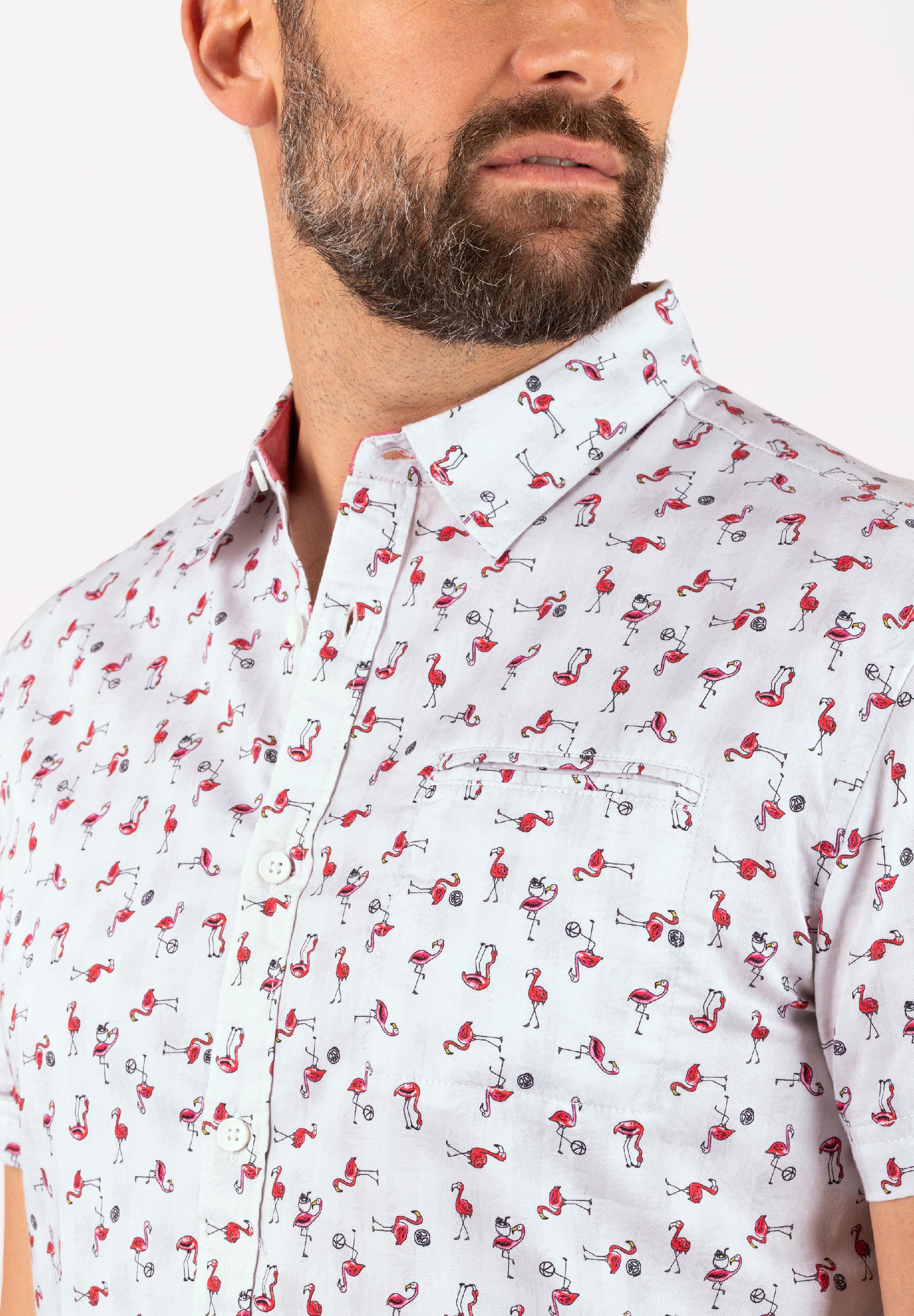 Printed Basic Shortsleeve Shirt print