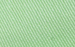 cactus green