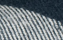 navy check