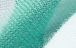 white green stripe
